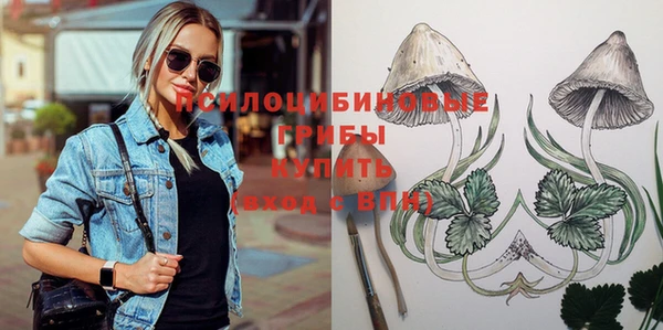 герыч Бугульма