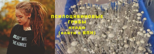 марки lsd Бородино
