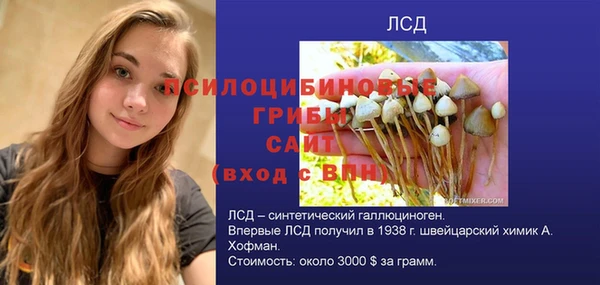 герыч Бугульма