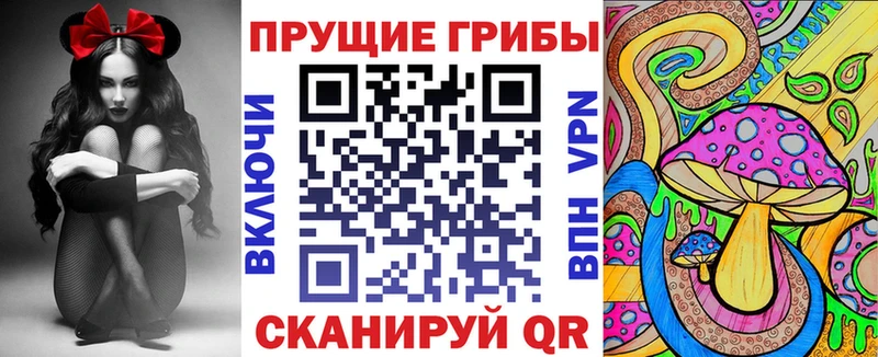 Купить где  Сегежа  Псилоцибиновые грибы прущие грибы 