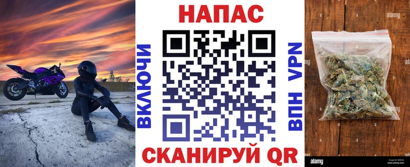 Купить  Сегежа  Марихуана конопля 